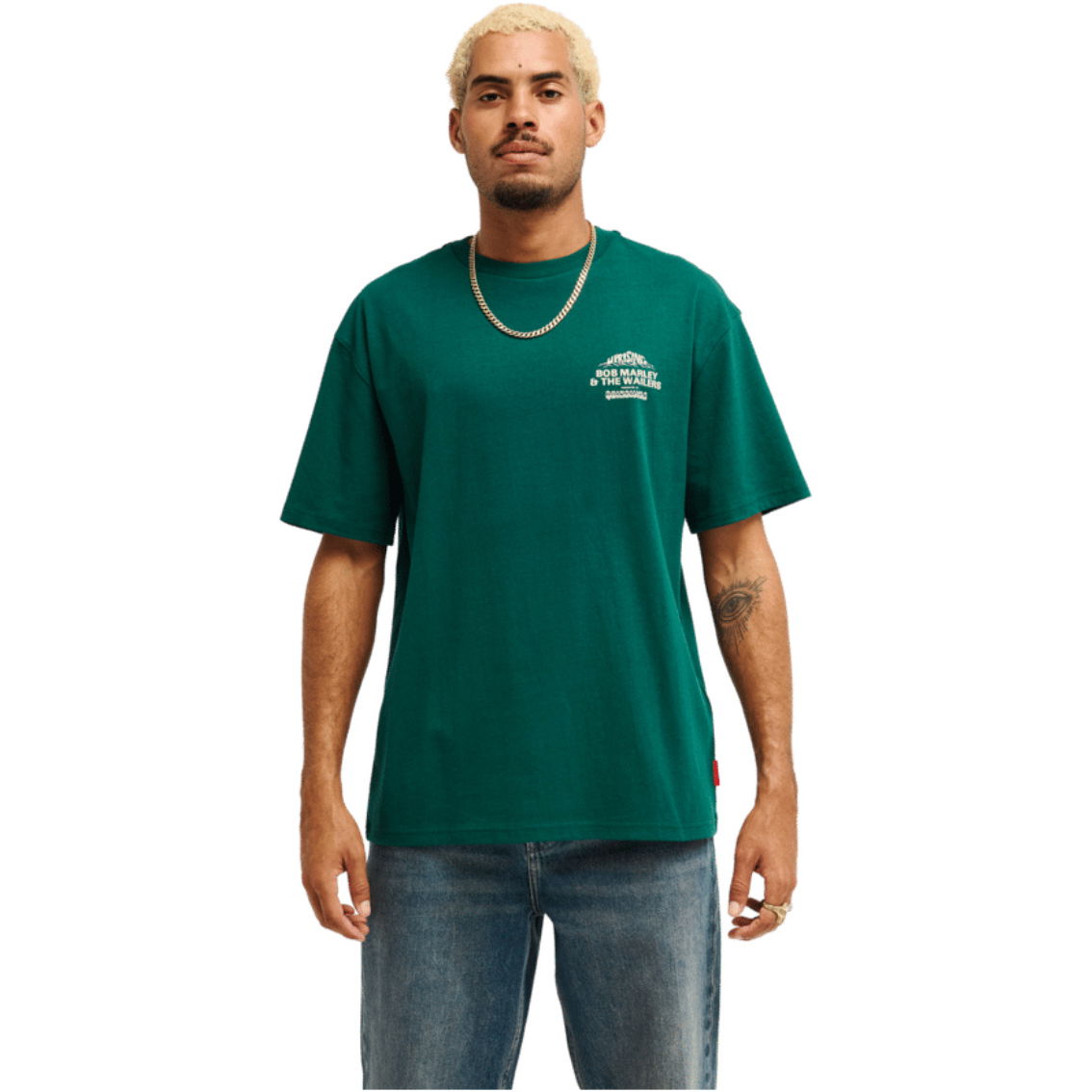 2026 Quiksilver Mens BM Concert T-Shirt EQYZT08489 - Botanical Garden
